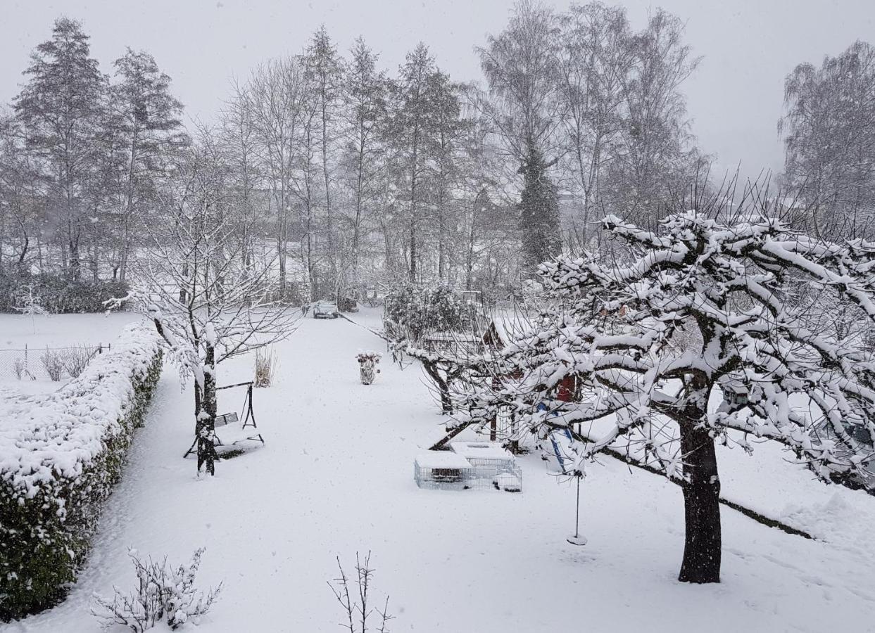 Villa Finger'S Hyggelig-Haus Erbach  Esterno foto